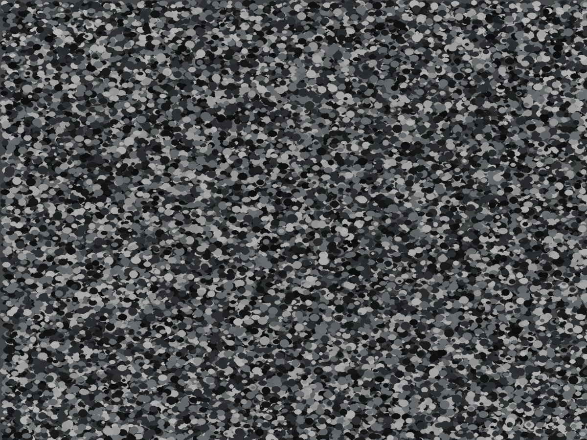 Domino garage floor flake blend — black, white & gray — installed by TRC in North Texas